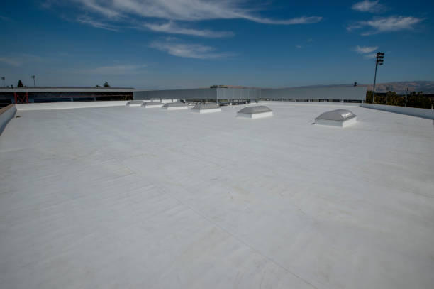 Best Roof Moss and Algae Removal  in Palm Valley, FL