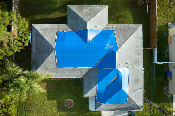 Best Storm Damage Roof Repair  in Palm Valley, FL