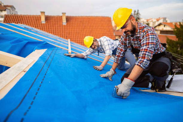 Roof Insulation in Palm Valley, FL