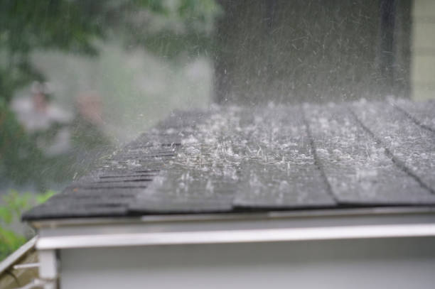 Best Roof Insulation Installation  in Palm Valley, FL