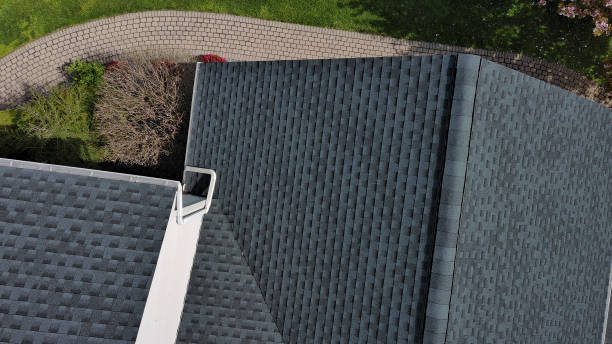 Best Gutter Installation and Repair  in Palm Valley, FL