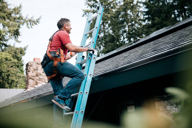 Best Green or Eco-Friendly Roofing Solutions  in Palm Valley, FL