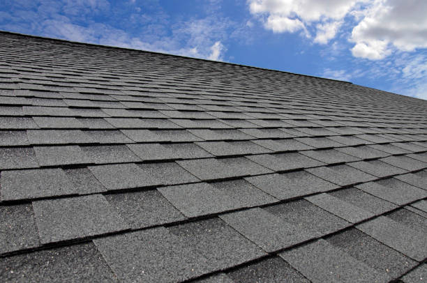 Best Roof Ventilation Installation  in Palm Valley, FL